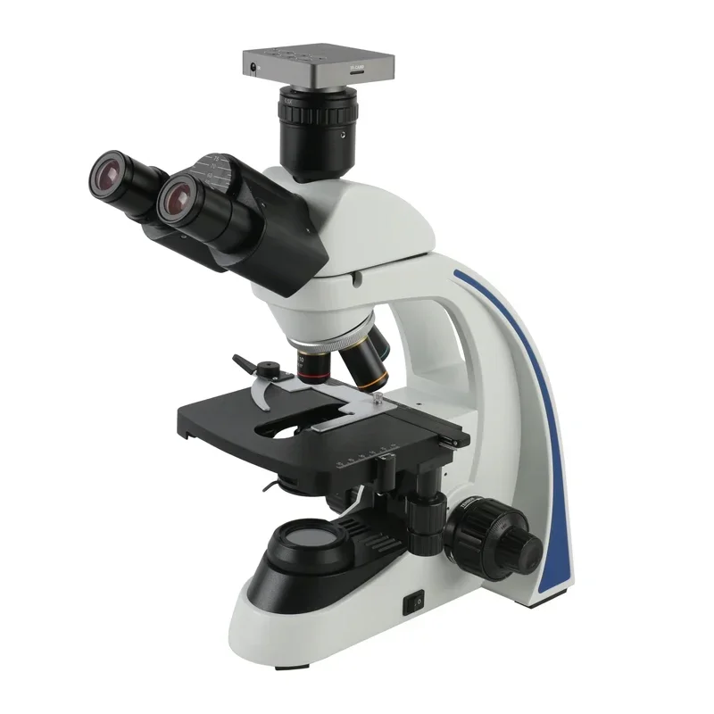 Medical Lab Video - 40X - 1000X 1600X 2000X Labor