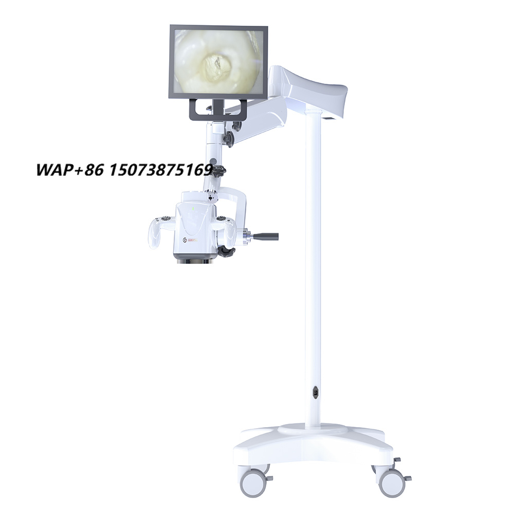 Labor-Chirurgisches Operations – Medical Lab Video Bewertung und Preis