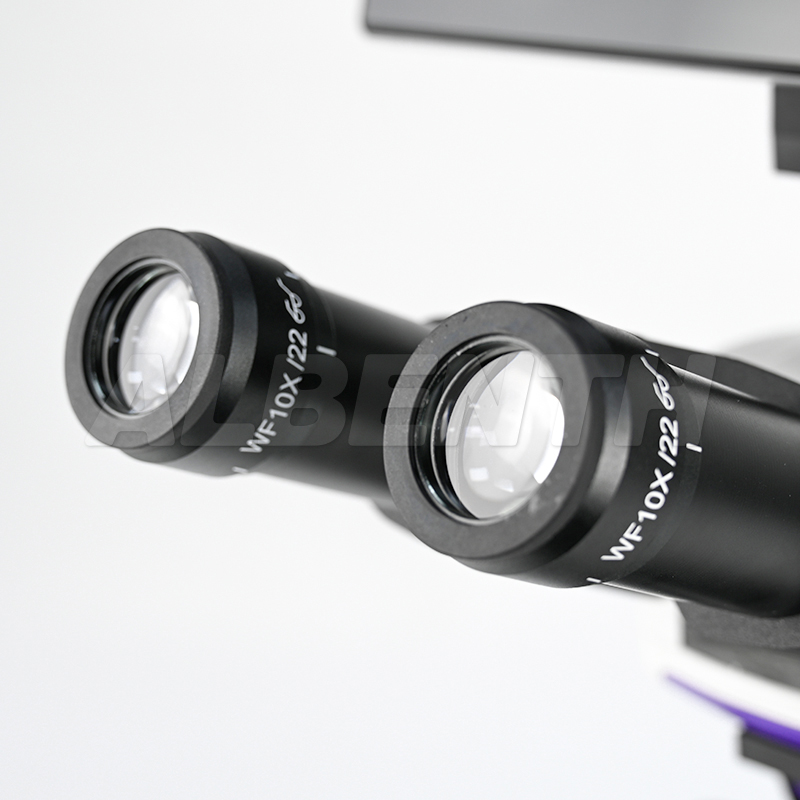 5,0 MP 9,7 Zoll LCD Digitales  – Medical Lab Video Bewertung und Preis