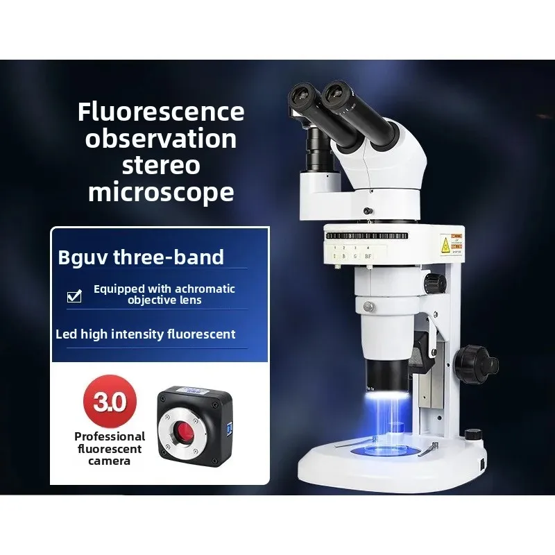 Fluoreszenzmikroskop Zebrafisc – Medical Lab Observer Bewertung und Preis